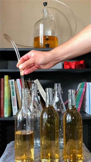 Bottling Grapefruit Wine | Making Wine at Home #shorts