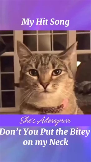 26 reactions · 4 comments | Did yoo know I’m a famous singer? Me and my momma write songs for me to purrform. This one was inspired by Wabbit. Some of Yoo haz heard this song before. So. For all my new fwends, this is one of my hit songs called Don’t You Put a Bitey on my Neck. Hope yoo enjoy! #singingcat #catsofinstagram #funnycatvideos #songwriter | She’s Adorapurr | Facebook