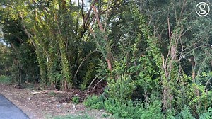 Two of Greenville's greatest social challenges. Homelessness and Affordable Housing. We are addressing both with the help of partners like United Housing Connections. Getting to the root of WHY people experience homelessness, then offering treatment, services and transitional housing. UHC is adding to its arsenal with a new 36-unit facility for #GreenvilleSC's most vulnerable residents. They plan to break ground in early 2023. | City of Greenville, South Carolina Government