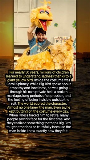 The Sadness Behind the Yellow Bird