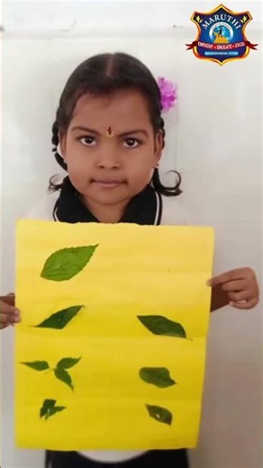 Different Types of Leaves | Activity by Grade II-B Students 🌿