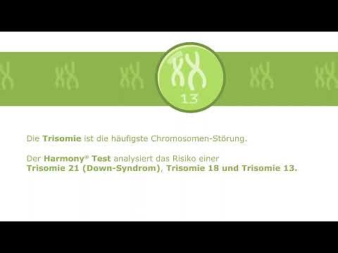 Der Harmony® Prenatal Test