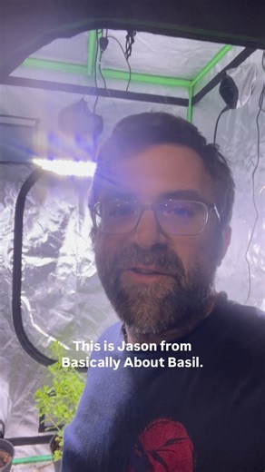 Basically about Basil on Instagram: "We are very excited for the new grow year. We have a great selection of interesting basil seeds available. If you want to try something new either with seeing what hybrid basils has to offer or try something new from around the world give us a try. We have a special focus on downy mildew resistant varieties of basil. We will also be at the Asheboro NC farmers market this summer if you want to stop by for an interesting selection of basil. Wishing you all a ve