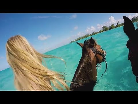 Beautiful girl riding horse, riding compilation, how to ride the horse?