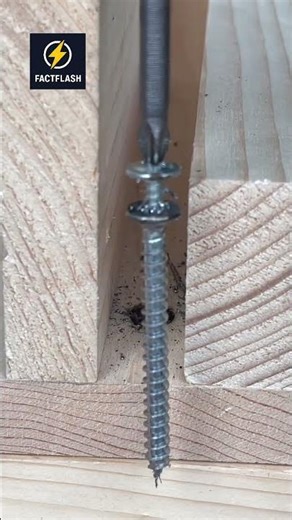 Remove Stuck Screws in Seconds! #DIY #lifehacks #shorts