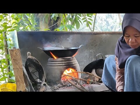 Suasana Pagi Di Kampung