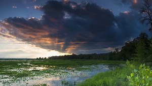 Deep Dive into the Driftless: Exploring the Geological Formation of Wisconsin's Shallow Tropical Sea and the Wisconsin Dells