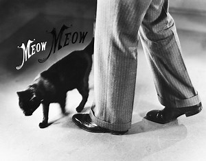 What Does It Mean to Be a "Black Cat Boyfriend?"