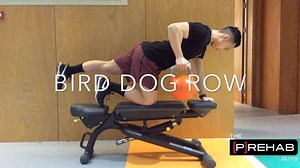 11K views · 350 reactions | Episode 462: "Bird-Dog Row for Improved...