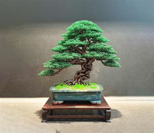 Wire Bonsai Tree up to 13 Inches High, Wire Tree Sculpture, Bonsai Tree Art, Desk Decor, Bonsai Tree, Bookcase Decor, Father's Day Gift - Etsy