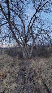 📽End of the line. The DuPont Dynamite Company established Louviers in 1906 as a "company town". The actual explosives plant was just outside of Louviers and at one point had 94 buildings before ceasing operations in 1971. Employees were given first dibs on buying the homes prior to DuPont closing. The entire town/village is part of the National Register of Historic Places. If you know where to look, you can find the original DuPont sign and train tracks that served the dynamite plant. * I appre