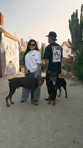 BROWN N PROUD ALL AROUND TOWN 💪🏽🤎 L !NK !N B !0 T0 SH 0P✨ PRINTED ON MAX HEAVYWEIGHT SHAKA T’s. ORDERS ARE SHIPPED OUT SAME DAY/ NEXT DAY ✉️📫 #losangeles #latino #chicanostyle | Brown N Proud