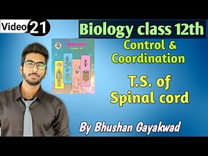 T.S of Spinal cord || Part 21 Control and coordination class 12 new syllabus