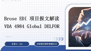 Brose EDI 项目报文解读：VDA 4984 Global DELFOR