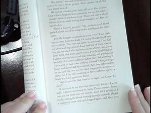 The Outsiders - Chapter 1