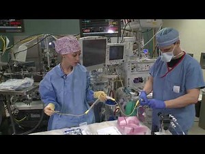 2022 Cardiac Anesthesiology Operation Room Setup Demonstration