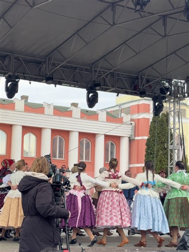 At the carnival in Mohács, dancers in beautifully embroidered traditional costumes move gracefully. What is national is also universal.在莫哈奇的狂欢节上，穿着精美刺绣民族服装的舞者翩翩起舞，民族的也是世界的。#mohacs #慢生活美学 #自由和远方 #多文化融合 #跨文化交流