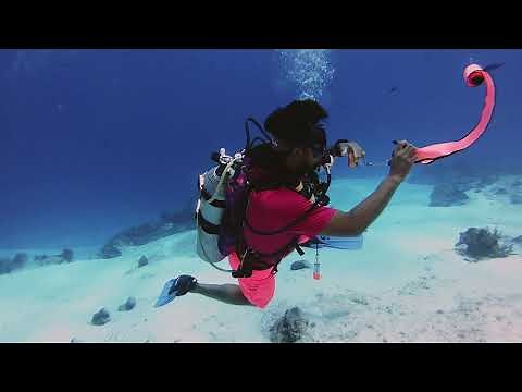 The Surface Marker Buoy