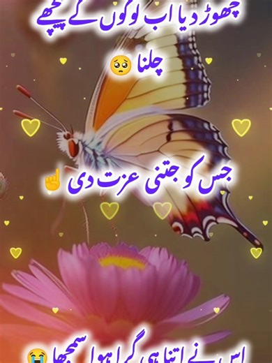 Understanding TikTok Team Views Issues