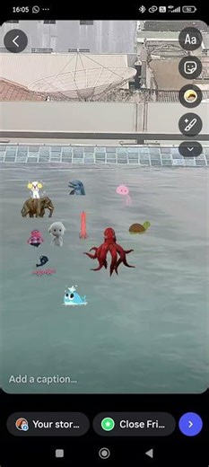 Dolphin sound effects SFX