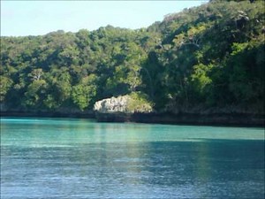 KANEKA NENGONE.. WAMO