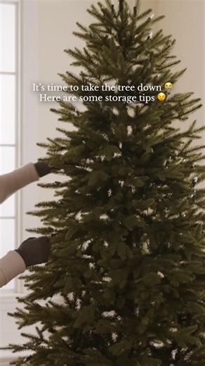 Balsam Hill Australia on Instagram: "Late to take your tree down? Same here 🎄 We’ve got simple tips to pack it up neatly and store it so next year’s setup is a breeze."