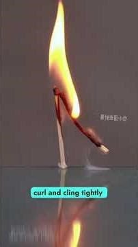 Most Mind-Blowing DIY Science Hacks from America & Canada 🤯#ScienceUSA #USATrends #NewYorkCity