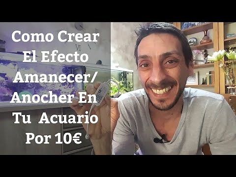 🔵 Como Crear El Efecto Amanecer/Anochecer En Tu Acuario Por 10€,Controlador Wifi Led Magic Home Pro