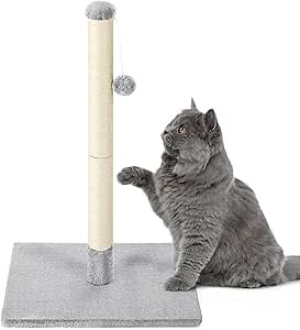 24" Tall Cat Scratching Posts for Indoor Cats and Kittens Cat Scratchers with Dangling Ball Vertical Scratcher with Premium Sisal Rope Cat Scratch Furniture Protector, Light Grey
