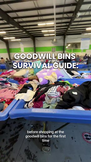 Goodwill Bins Survival Guide for Thrifting Enthusiasts