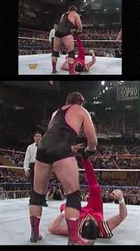 Hart Family WWE Quicktron