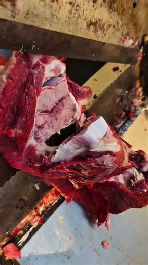 Super Fresh Pork Bone Marrow - Pro Pork Bone Cutting Technique