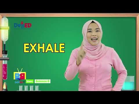 Grade 6 Science Q1 Ep3: Identify Factors Affecting Solubility