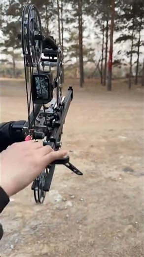 Perfect Shot! 🎯#CompoundBow #BowHunting #OutdoorAdventure #HuntingLife #ArcheryGear #BowPower