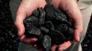 Coal price capping is a ‘very bad’ and ‘catastrophic’ idea