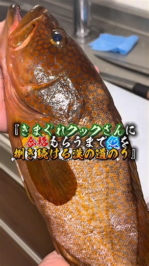 アカハタの煮付けうますぎ！#独学 #寿司 #寿司職人 #いいね #きまぐれクック