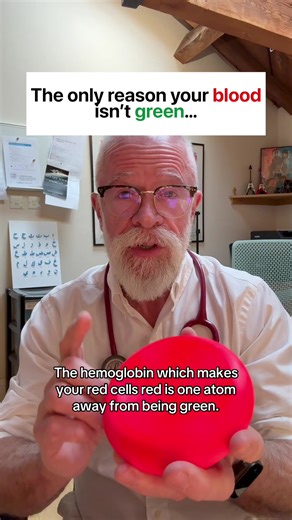 The Surprising Similarity Between Haemoglobin and Chlorophyll