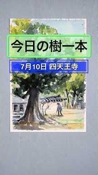 透明水彩絵具で描く風景画「四天王寺の樹木」今日の樹一本（７月１０日）アーバンスケッチの描き方 初心者向け Watercolor Landscape Painting for Beginners