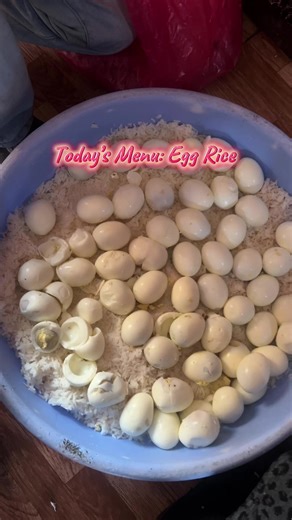 Healthy Dog Lunchtime: Boiled Egg and Rice Recipe