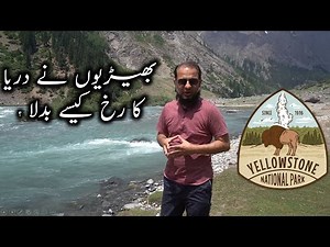 How Wolves Changed Rivers? | Eco System Engineering