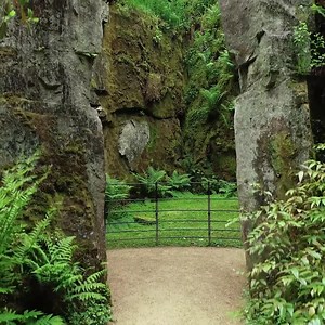 53K views · 1K reactions | The Grecian architecture, medieval castle, and thirty acres of outstanding gardens of Belsay Hall, Castle & Gardens are giving us all the feels this morning  See these magnificent grounds in a new light at Enchanted Belsay Hall this winter ✨ https://eht.social/31178QT | English Heritage | Facebook