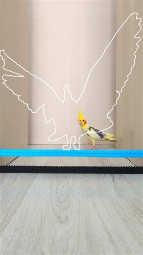 You can't make it 3 out of 3 🤪😂 #minigame #pausegame #challenge | VT Studio