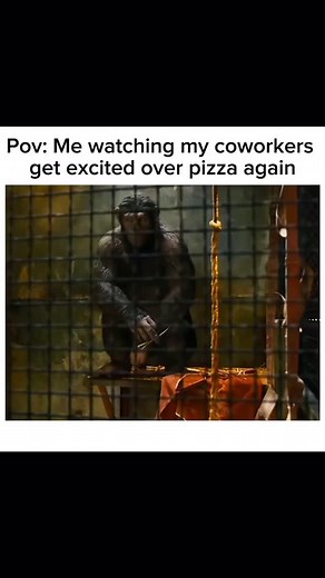 Apes together strong | PoLITical Compass Memes