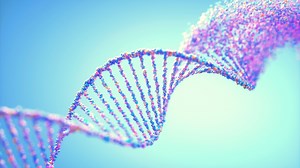 Researchers Say They've Finally Sequenced the Entire Human Genome