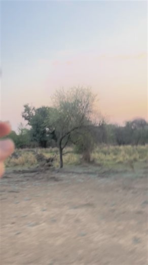 30 reactions | And just like this we are in Botswana. Let’s Go! | Waypoint Adventures - Your Overlanding Partner | Facebook