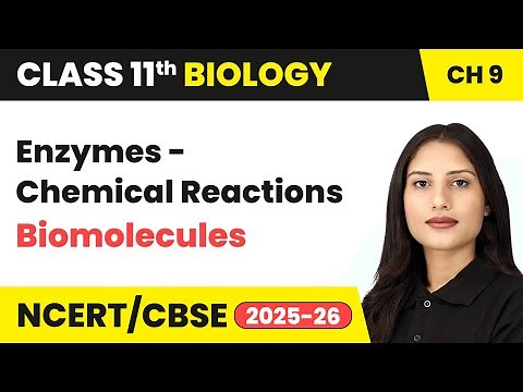 Enzymes (Chemical Reactions) - Biomolecules | Class 11 Biology Chapter 9 | CBSE 2025-26