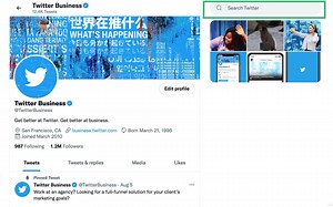 Can We Use Twitter on Web?