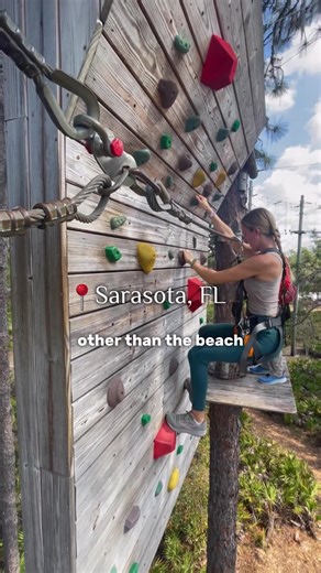 Explore TreeUmph Adventure Park in Sarasota