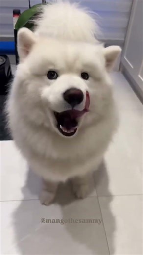 Unlock the Secret to Cooking Like a Pro