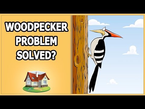 Woodpecker Problem Solved?